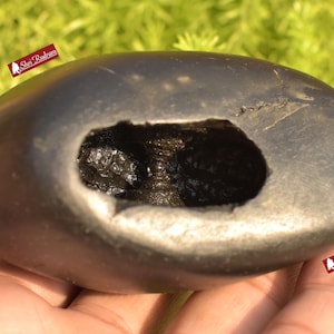 ShriRudram BalaRama Shaligram Bala Ram Saligram Stone Gandaki River Religious Gifts BR350