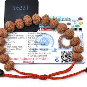 Shri Rudram 10 Mukhi Rudraksha Bracelet / Ten Face Rudraksh Wristlet Java Lab Certified D2
