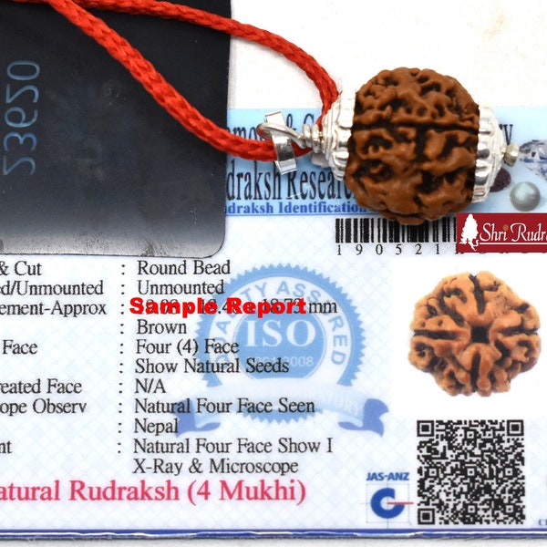 ShriRudram 4 Mukhi Rudraksha / Four Face Rudraksh Nepal Bead Lab Certified