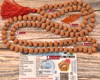 ShriRudram 6 Mukhi Rudraksha Mala / Six Face Rudraksh Rosary Java Lab Certified D2