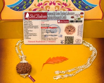 Rudraksha