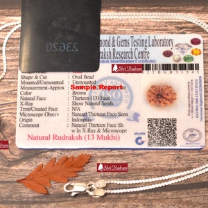 ShriRudram 13 Mukhi Rudraksha / Thirteen Face Rudraksh Java Bead in Pure Silver Chain Lab Certified D2