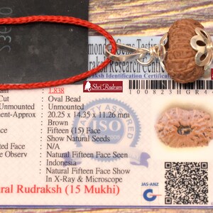 Peut inclure: Un grain de Rudraksha brun à 15 faces, mesurant 20,25 x 14,35 x 11,26 mm. Le grain est monté sur un pendentif en argent avec une boucle pour un cordon. Le grain est certifié par Shri Rudram, un centre de test et de recherche de gemmes. Le certificat comprend le poids, la forme, la couleur et l'origine du grain.