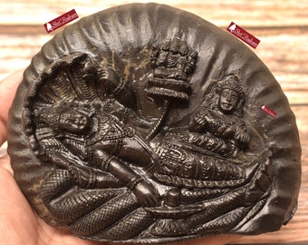 ShriRudram Luxmi Narayan Murti Brahma Vishnu Mahesh Idol Statue Carved on Sudarshan Shaligram Nepal BVM1100