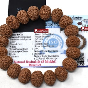 ShriRudram 8 Mukhi Rudraksha Armband / Acht-Gesicht Rudraksh Armband Java Lab zertifiziert 15-17 MM