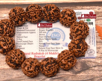 Shri Rudram 4 Mukhi Rudraksha Bracelet/ Four Face Rudraksh Wristlet Nepal Lab Certified
