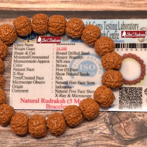 ShriRudram 5 Mukhi Rudraksha Bracelet / Five Face Rudraksh Wristlet Java Lab Certified Top Quality