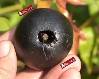 ShriRudram Harihara Shaligram , Hari Hara Shaligram Maha Vishnu Shiva Saligram Stone Gandaki Nepal, Religious Gifts HS114