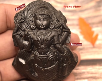 ShriRudram Matsya Murti / Matasya Statue Idol Carved on Sudarshan Shaligram Gandaki Nepal MS103