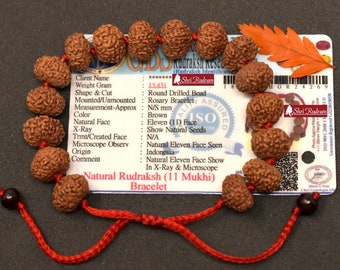 ShriRudram 11 Mukhi Rudraksha Bracelet / Eleven Face Rudraksh Wristlet Java Lab Certified D3