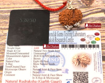 ShriRudram Garbh Gauri Rudraksha / Gouri Ganesh Rudraksh Nepal Bead Lab Certified 20.81 MM