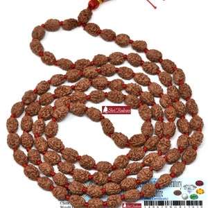 ShriRudram 3 Mukhi Rudraksha Mala / Drei-Gesicht Rudraksh Rosenkranz Java Lab zertifiziert 108+1 Perlen