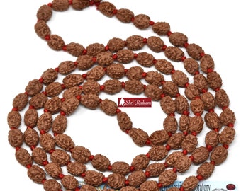 ShriRudram 3 Mukhi Rudraksha Mala / Three Face Rudraksh Rosary Java Lab Certified 108+1 Beads