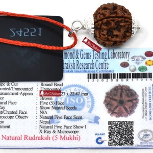 ShriRudram 5 Mukhi Rudraksha / Five  Face Rudraksh Nepal Bead Lab Certified Size 22 - 23 MM