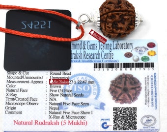 ShriRudram 5 Mukhi Rudraksha / Five  Face Rudraksh Nepal Bead Lab Certified Size 24 - 25 MM