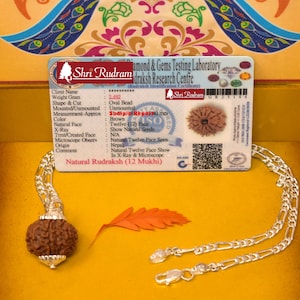 ShriRudram 12 Mukhi Rudraksha / Twelve Face Rudraksh Nepal Bead in Pure Silver Chain Lab Certified