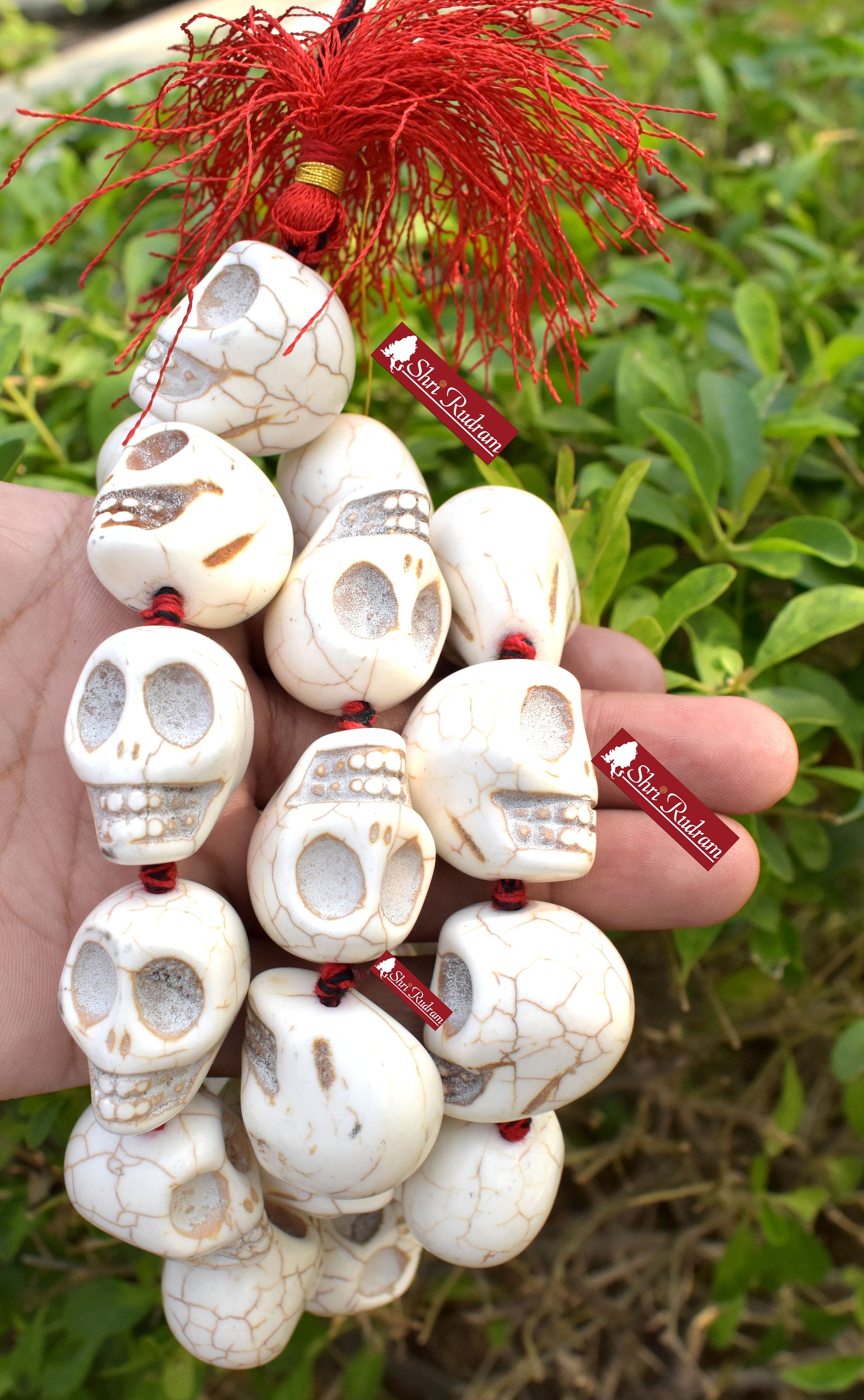 Bone Skull Beads, India
