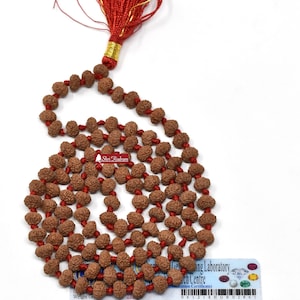 Shri Rudram 8 Mukhi Rudraksha Mala / Eight Face Rudraksh Rosary Java Lab Certified