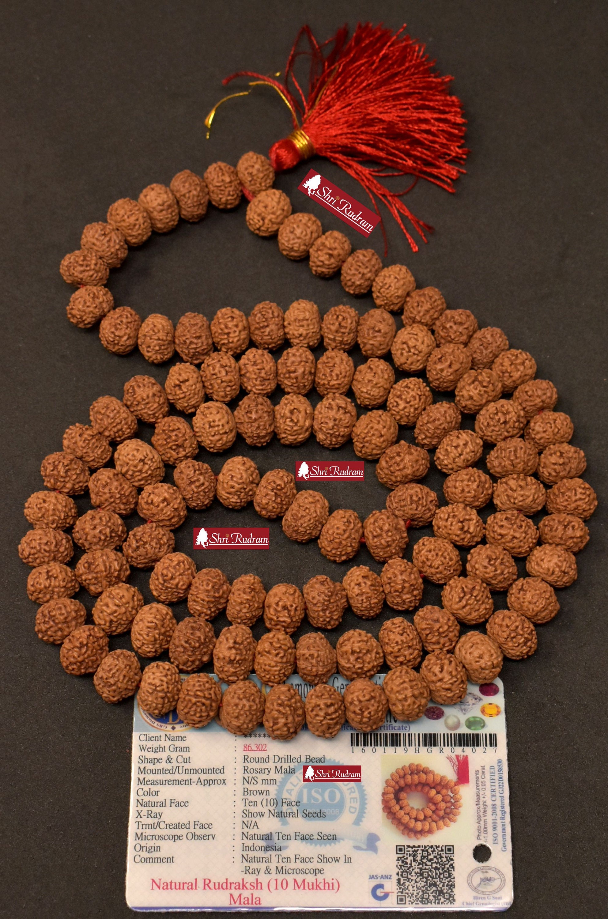 Amazon.com: Sharvgun Power of 3 Deva 4,5,10 Mukhi Nepal Lab Certified Rudraksha  Bracelet Rudraksha Beads Bracelet Rudraksha Seed Bracelet Rudraksha Bangel  : Clothing, Shoes & Jewelry