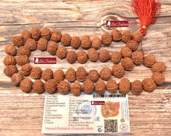 ShriRudram Ganesh Rudraksha Mala / Ganesha Rudraksh Rosary 54+1 Beads  Lab Certified