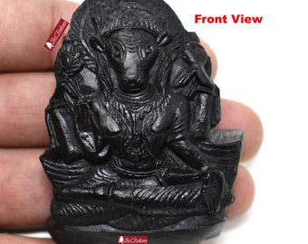 ShriRudram Hayagriva Murti / HayGriva Idol Carved on Sudarshan Shaligram Nepal HV112