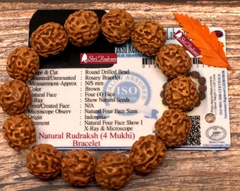 Shri Rudram 4 Mukhi Rudraksha Bracelet/ Four Face Rudraksh Wristlet Java Lab Certified D2