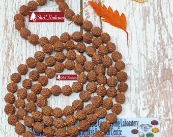 ShriRudram 5 Mukhi Rudraksha Mala / Five Face Rudraksh Rosary Lab Certified 108+1 Beads 7 MM D1