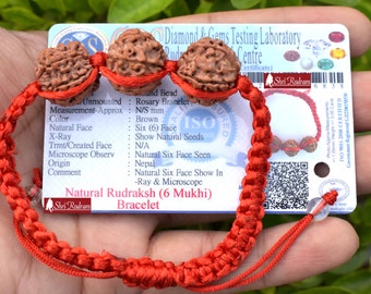 Shri Rudram 6 Mukhi Rudraksha Bracelet / Six Face Rudraksh Wristlet Nepal Bead Lab Certified NN1