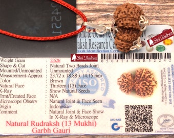 ShriRudram Garbh Gauri Rudraksha / Gouri Ganesh Rudraksh Nepal Bead Lab Certified 23.72 MM