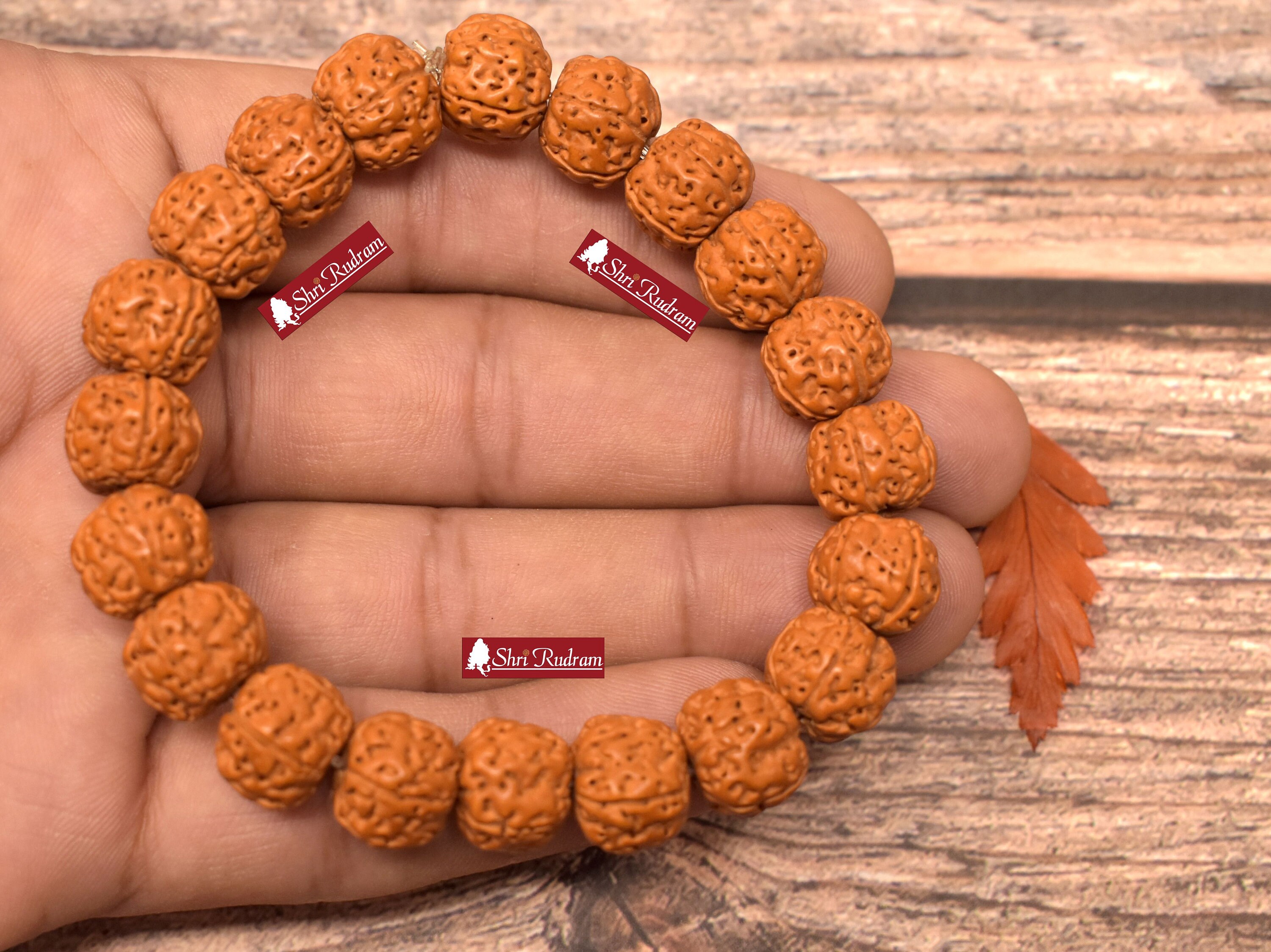  Vado® Rudraksha Bracelet, Stretchable Energized Wrist Band with  5 Mukhi Natural Rudraksh Beads Pack of 1 (9MM, Brown): Clothing, Shoes &  Jewelry