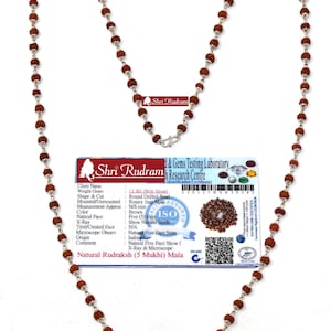 Shri Rudram 5 Mukhi Rudraksha Mala / Five Face Rudraksh Rosary in Silver Lab Certified 108+1 Beads