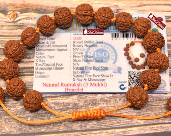 ShriRudram 5 Mukhi Rudraksha Bracelet / Five Face Rudraksh Wristlet Java Lab Certified Top Quality D2