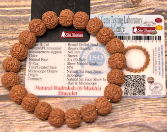 ShriRudram 6 Mukhi Rudraksha Bracelet Lab Certified , Shiva Bracelet, Yoga Bracelet, Six Faced Rudraksha Bracelet 11 MM