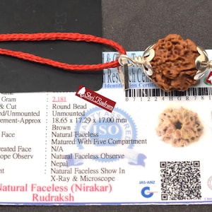 ShriRudram Zero Mukhi Rudraksha / Nirakar Faceless Rudraksh Nepal  Bead Lab Certified 18.65 MM