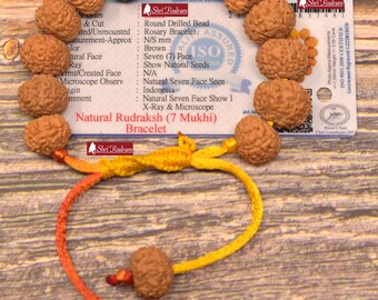 ShriRudram 7 Mukhi Rudraksha Bracelet / Seven Face Rudraksh Wristlet Java Bead Lab Certified 14-16 MM