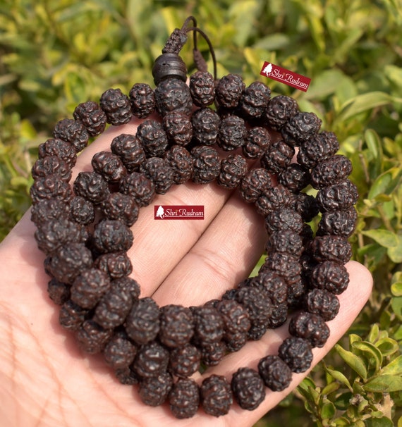 Rudraksha with Golden Cap Bracelet