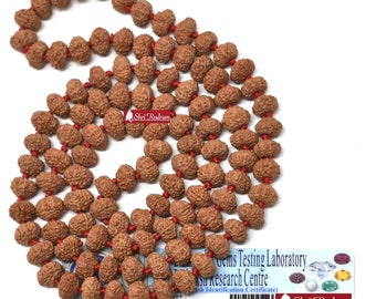 Shri Rudram 10 Mukhi Rudraksha Mala / Ten Face Rudraksh Rosary Java Lab Certified 8-9 MM