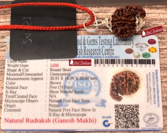 ShriRudram Ganesh Rudraksha / Ganesha Rudraksh Nepal Bead Lab Certified 20.93 MM