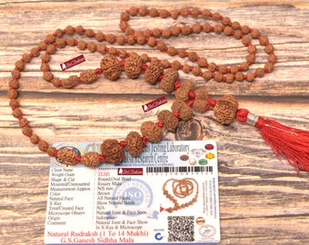 Siddha Mala's