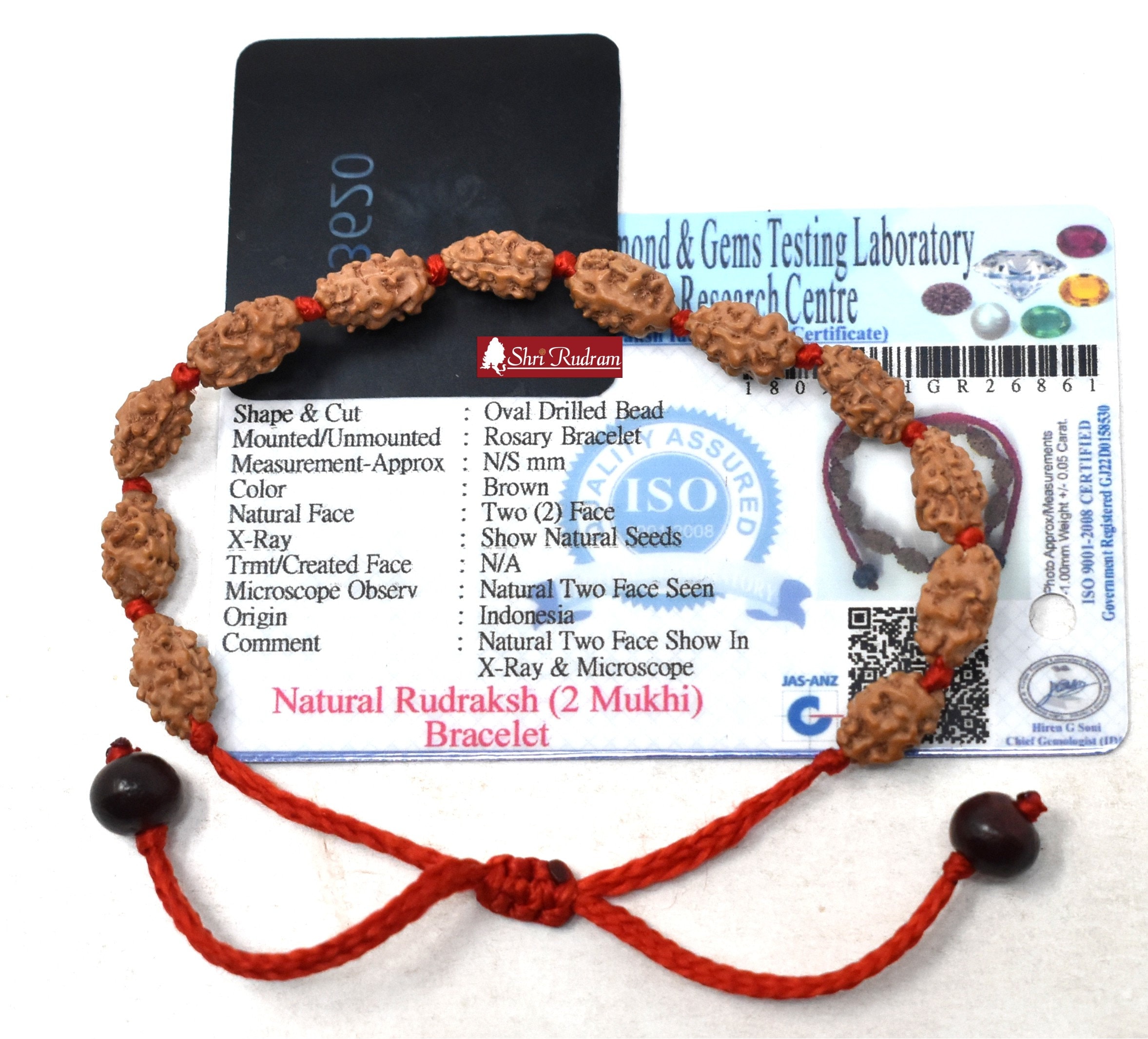 Buy Best Quality 2 Mukhi Moon Bracelet | Shaligram Shala