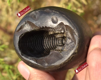 Shaligram