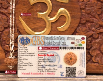 ShriRudram 11 Mukhi Rudraksha / Eleven Face Rudraksh Java Bead in Pure Silver Chain Lab Certified