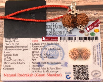 ShriRudram Gauri Shankar Rudraksha / Gouri Sankar Rudraksh Java Bead Lab Certified 24.01 MM