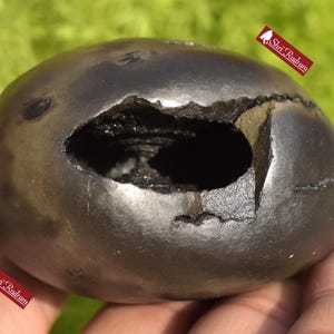 ShriRudram BalaRama Shaligram Bala Ram Saligram Stone Gandaki River Religious Gifts BRS214