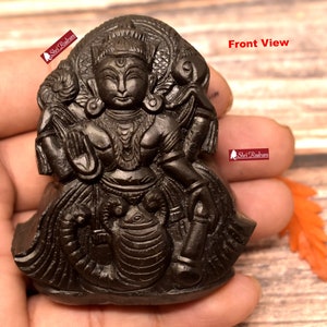 Shimshumara Murti Idol Carved on Sudershan ShaligramNepal SSM140