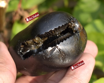 Shaligram