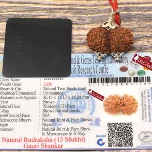 May include: A brown, natural Gauri Shankar Rudraksha bead with thirteen faces, mounted with silver caps on a red cord. The bead is displayed with a laboratory identification certificate listing a weight of 3.028 grams and dimensions of 26.17 x 17.17 x 15.24 mm.