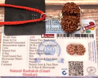 ShriRudram Gauri Shankar Rudraksha / Gouri Sankar Rudraksh Nepal Bead Lab Certified 29.30 MM
