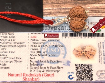 ShriRudram Gauri Shankar Rudraksha / Gouri Sankar Rudraksh Java  Bead Lab Certified 21.61 MM