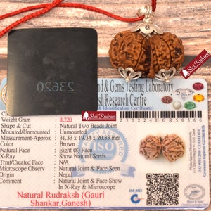 ShriRudram Gauri Shankar Ganesh Rudraksha / Gouri Sankar Ganesha Rudraksh Nepal Bead Lab Certified 31.33 MM